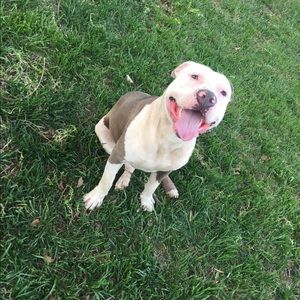 Meet your Posher, Renae